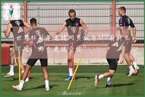 世界杯冠军竞猜网页版与APP有什么不同，哪个更适合你？