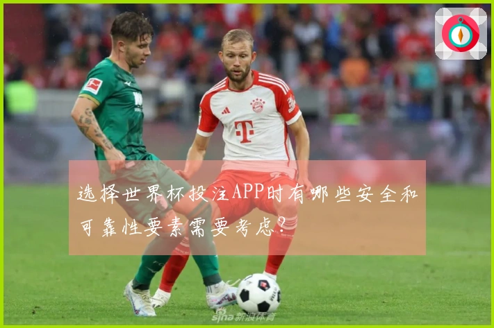 选择世界杯投注APP时有哪些安全和可靠性要素需要考虑？
