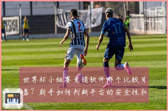 世界杯小组赛竞猜软件哪个比较可靠？新手如何判断平台的安全性和规则？