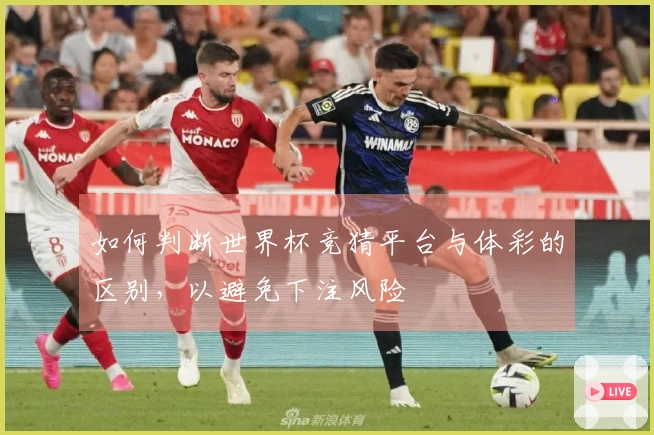 如何判断世界杯竞猜平台与体彩的区别，以避免下注风险