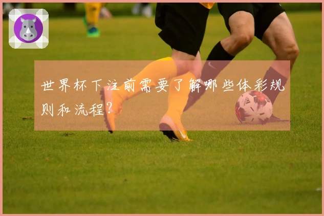 世界杯下注前需要了解哪些体彩规则和流程？