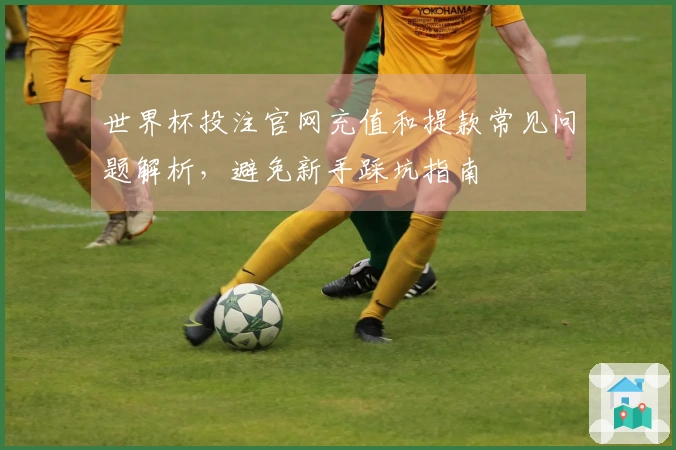 世界杯投注官网充值和提款常见问题解析，避免新手踩坑指南