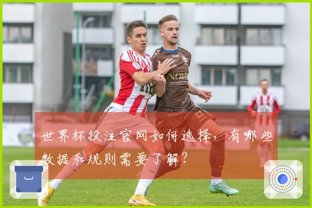 世界杯投注官网如何选择，有哪些数据和规则需要了解？