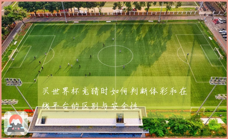 买世界杯竞猜时如何判断体彩和在线平台的区别与安全性
