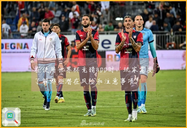 在使用世界杯竞猜app时，玩家需要了解哪些潜在风险和注意事项？