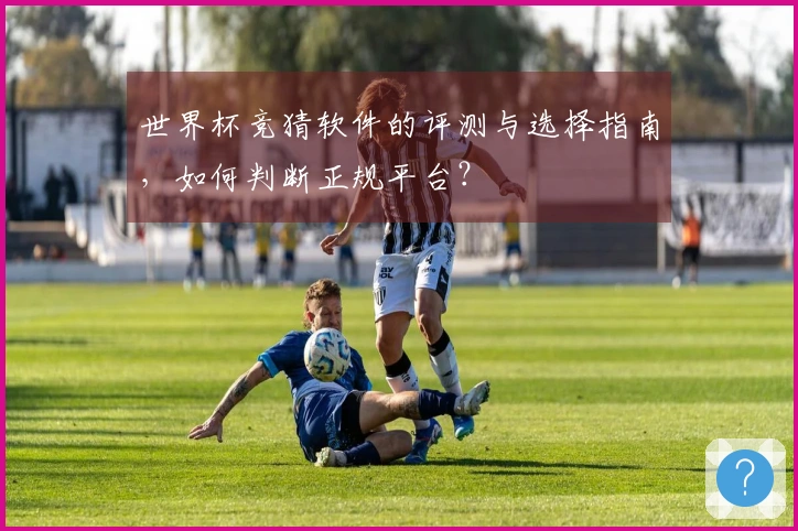 世界杯竞猜软件的评测与选择指南，如何判断正规平台？