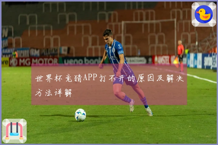 世界杯竞猜APP打不开的原因及解决方法详解