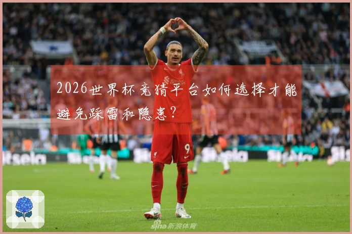 2026世界杯竞猜平台如何选择才能避免踩雷和隐患？