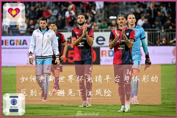 如何判断世界杯竞猜平台与体彩的区别，以避免下注风险