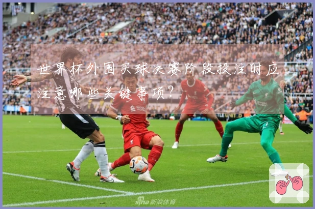 世界杯外围买球决赛阶段投注时应注意哪些关键事项？