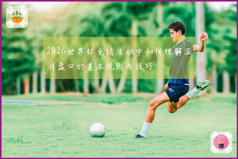 2026世界杯竞猜活动中如何理解亚洲盘口的基本规则与技巧