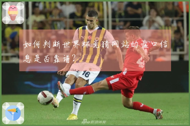 如何判断世界杯竞猜网站的盘口信息是否靠谱？
