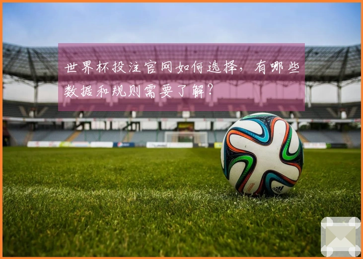 世界杯投注官网如何选择，有哪些数据和规则需要了解？